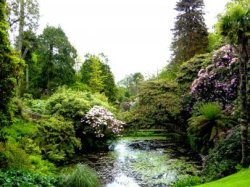 beautiful national Garden festival